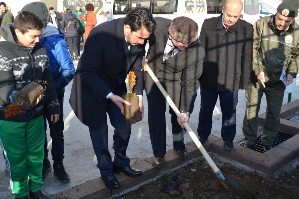 Öğrenciler Karaca için fidan dikti 