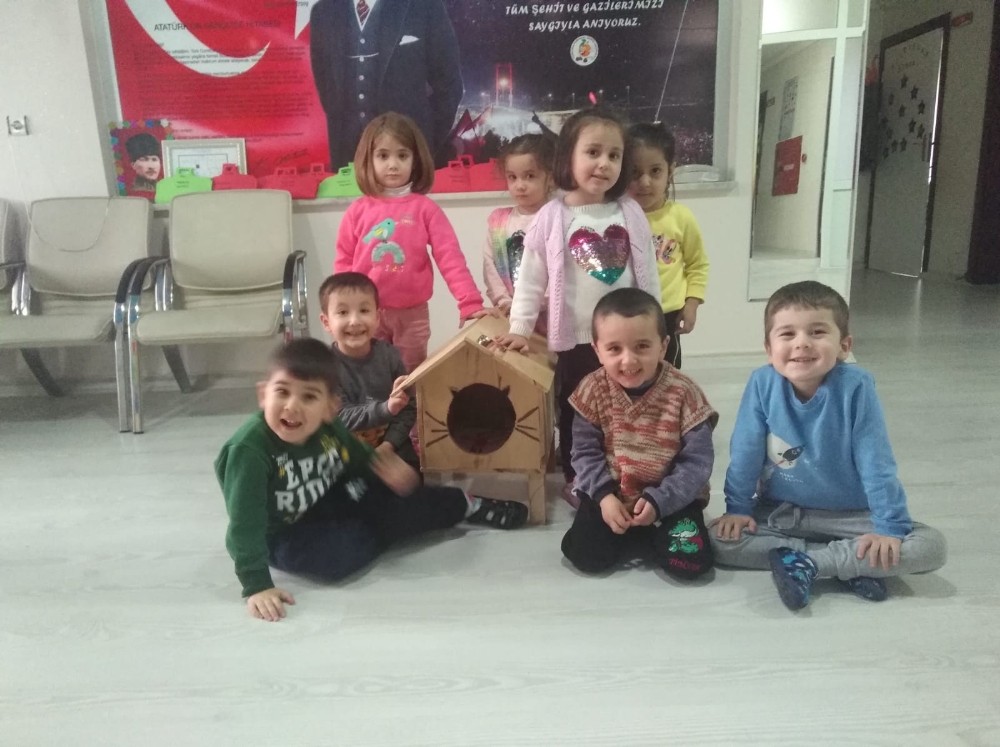 Öğrenciler kedilere sıcak yuva yaptı 