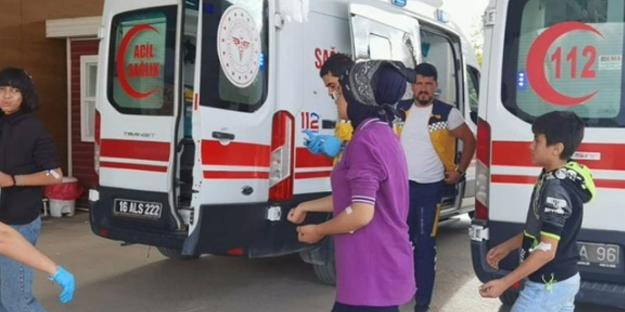 Öğrenciler kovana vurdu ve sonra...