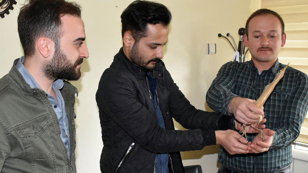 Öğrenciler, nesli tükenmekte olan Hint balıkçıl kuşu buldu