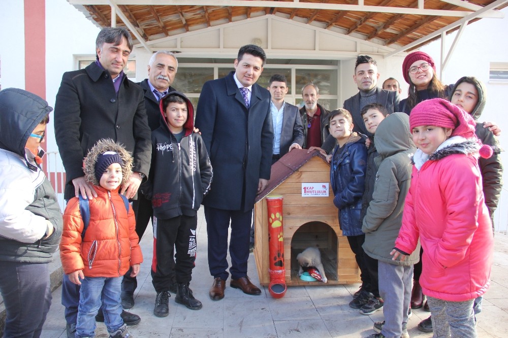 Öğrencilerden sokak hayvanlarına sıcak yuva 