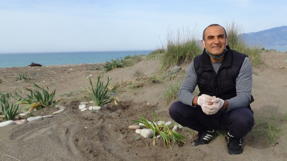 Öğrencilerinden ayrılan ilkokul öğretmeni Kum Zambaklarını kimsesiz bırakmadı 