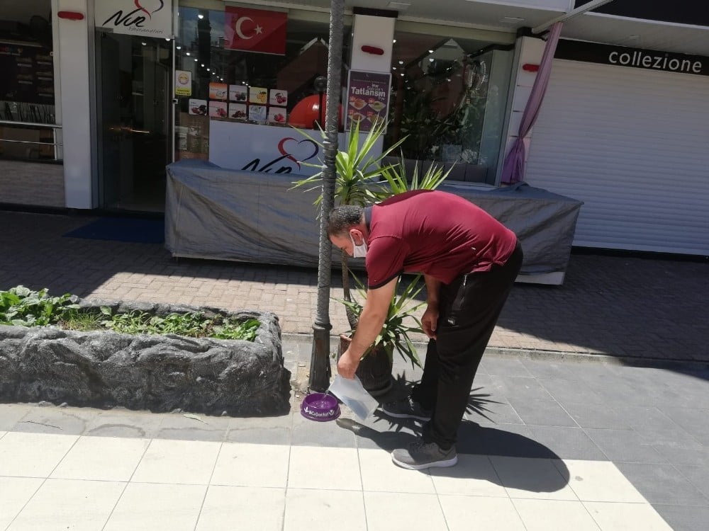 Öğretmen, öğrenci ve velilerden sokak hayvanlarına su 