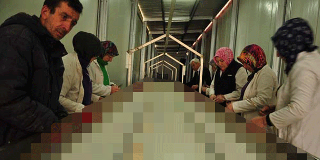 Öğretmenlikten emekli oldu fabrika kurdu… Avrupa’da 5. oldu