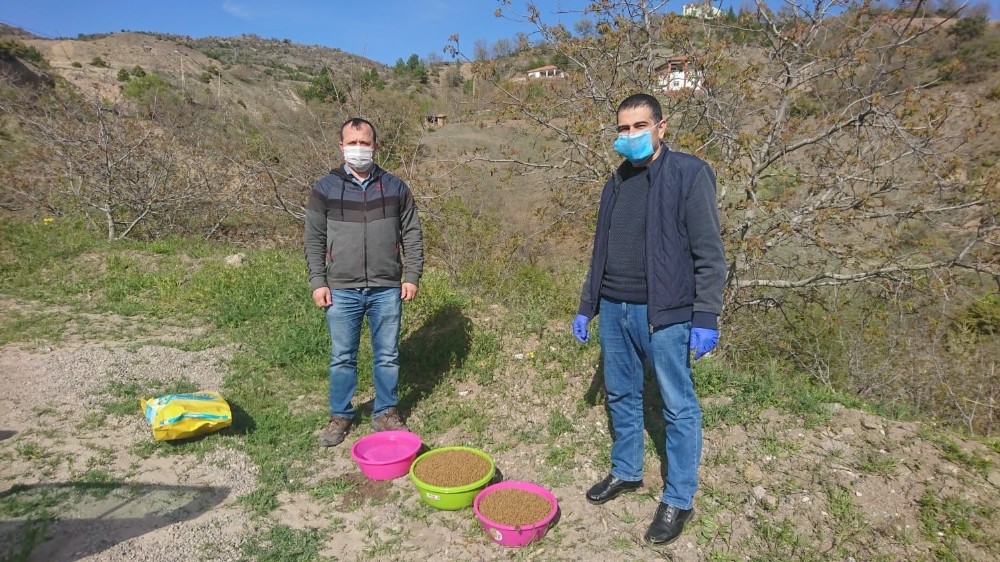 Oğuzlar’da sokak hayvanları için doğaya yem bırakıldı 