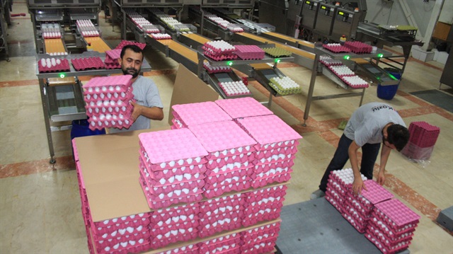 OHAL’de Irak’a ihracat yükseldi