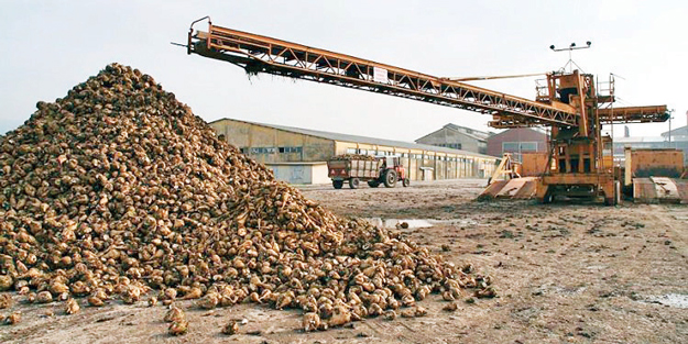 ÖİB 14 şeker fabrikasının özelleştirme sürecini başlattı