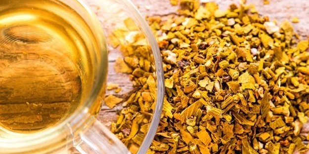 Ökse otu nedir? Faydaları nelerdir? İflas eden vücuda tam bir şifa: Epilepsiye en iyi ilaç! Ökseotu felci önlüyor