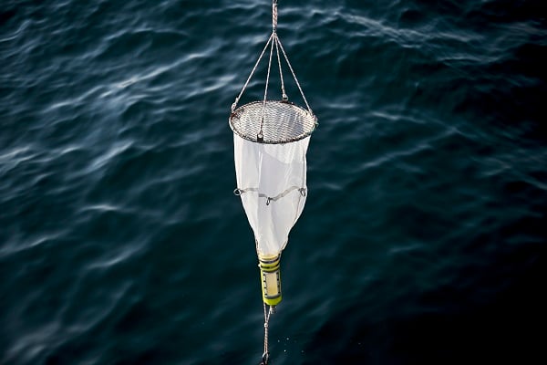 Oksijen azalıyor, sıcaklık artıyor! Marmara Denizi can çekişiyor