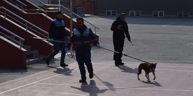 Okul bahçesinde 'pitbull' dehşeti! 5 öğrenci hastaneye kaldırıldı