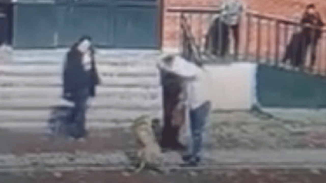 Okul bahçesindeki 5 öğrenciyi ısıran köpeğin sahibi tutuklandı!