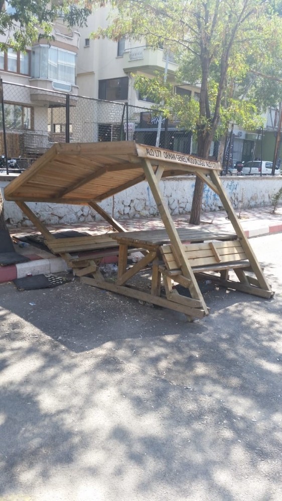 Okul bahçesindeki kamelyaları talan ettiler 