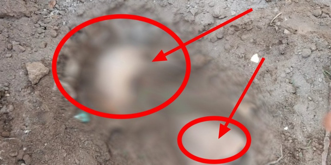 Okul bahçesinden çıkan şeyler 'yok artık' dedirtti! Belediye ekipleri buldu! İhbar üzerine jandarma geldi! Görenlerin ağzı bir karış açık kaldı