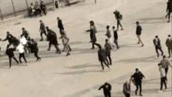 Okul değil, sanki kurban kesim yeri! Bıçaklar havada uçuştu