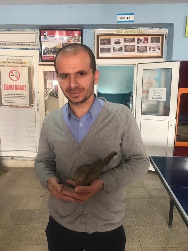 Okul müdürü kanadı kırılan kumruyu tedavi ettirip sahiplendi 