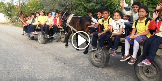 Adana'da okula at arabasıyla gidiyorlar