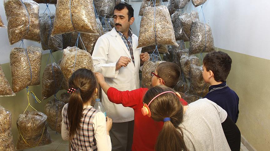 Okulda mantar yetiştiriyorlar!