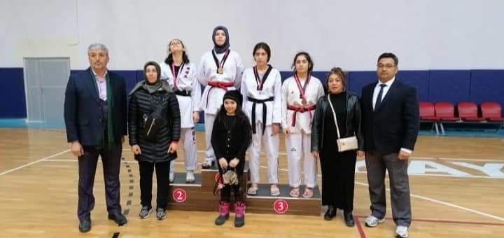 Okullar arası Gençler Taekwondo İl Birinciliği müsabakaları tamamlandı 