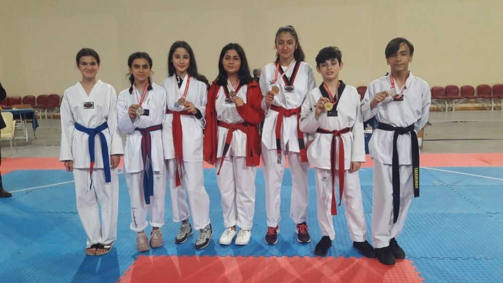 Okullar arası Yıldızlar Taekwondo İl Birinciliği müsabakaları tamamlandı 
