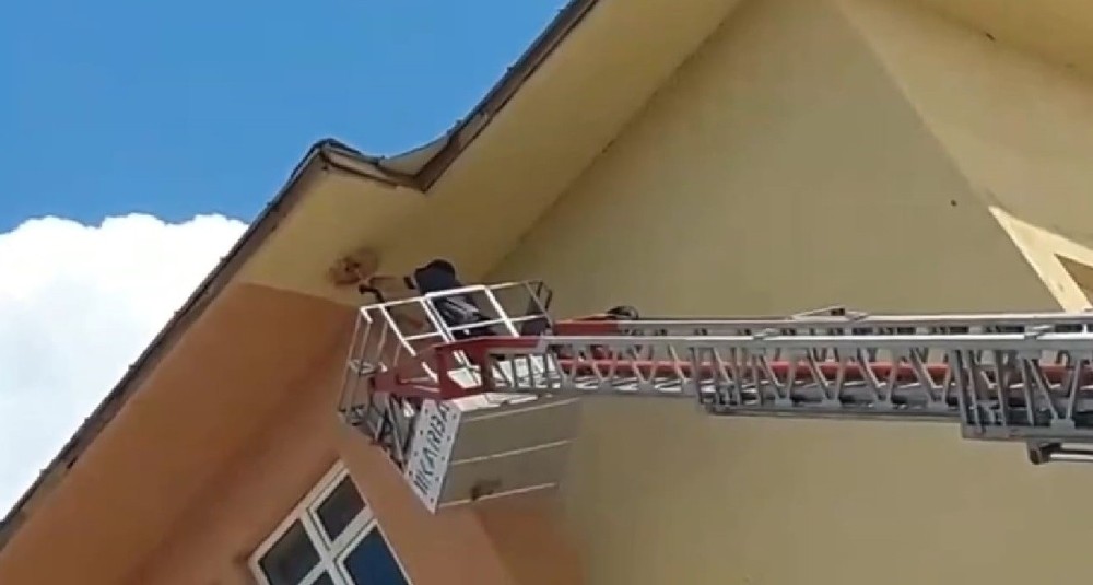 Okulun çatısında ipe dolanan karga kurtarıldı 