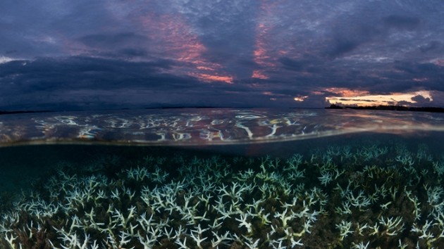 Okyanusların bu özelliği olmasaydı, dünya sıcaklıktan kavrulurdu
