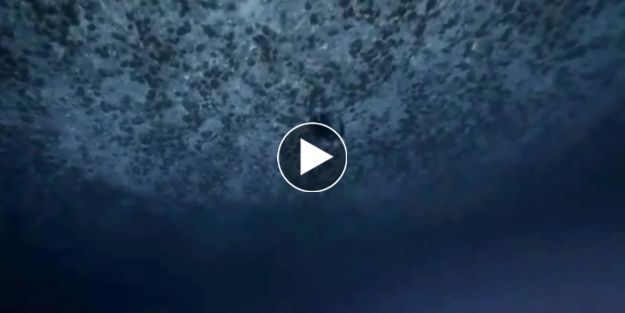 Okyanusun altında tek başına!../VİDEO