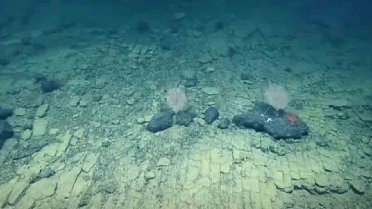 Okyanusun dibinde “sarı tuğlalı yol”: Hawaii açıklarında gizemli keşif