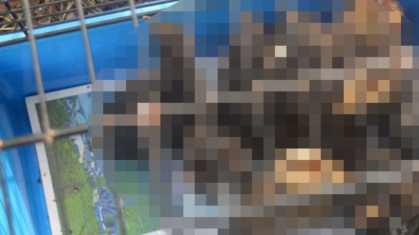 Olacak iş değil! Görünce beyinlerinden vurulmuşa döndüler! Sen manyak mısın be kadın