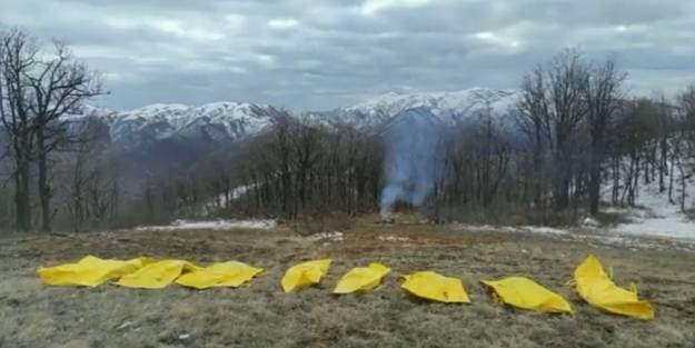 Öldürülen hainler sarı poşetlere konuldu