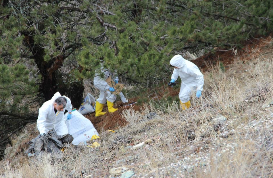 Öldürülen yaşlı adamın öldürülmesiyle ilgili 4 gözaltı