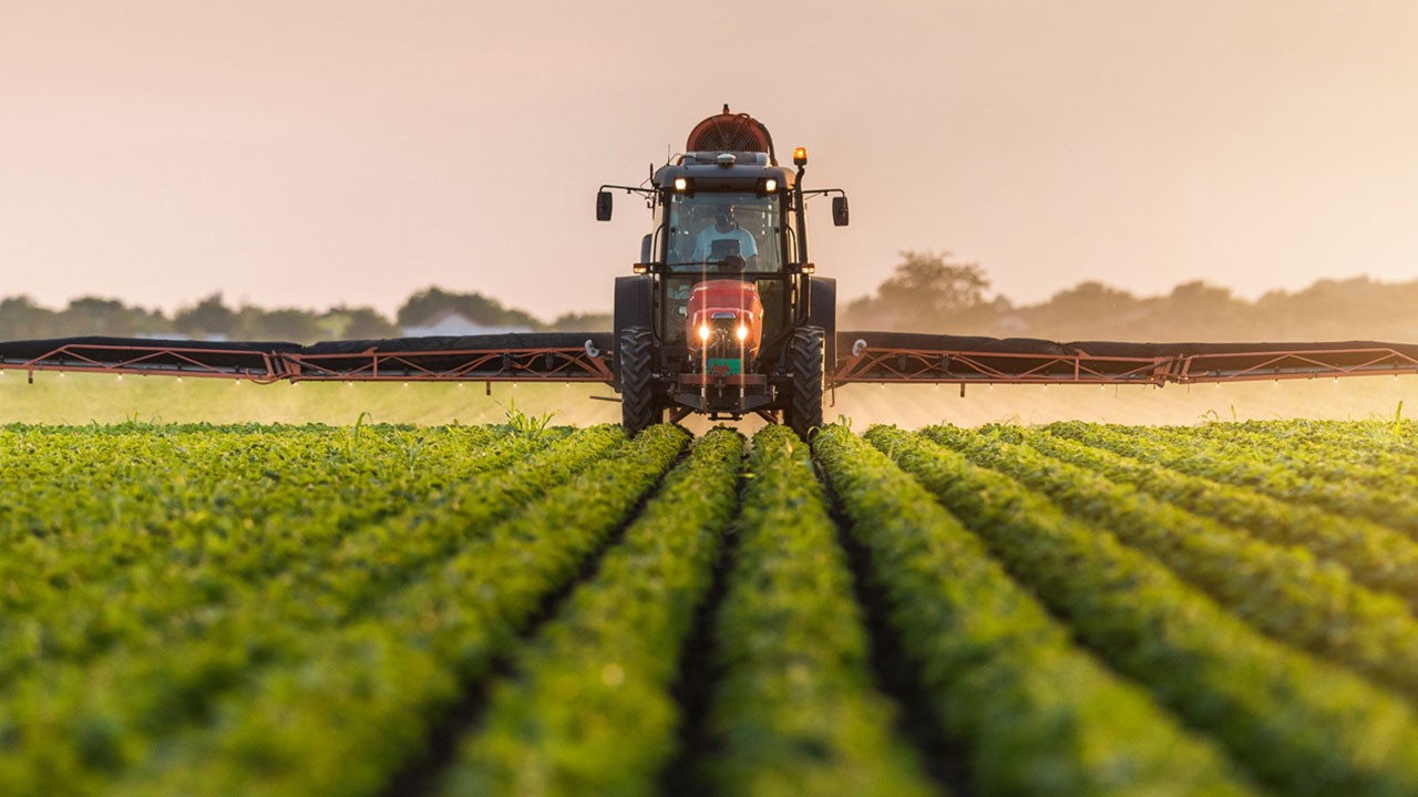 Olmayacak şey oldu! Türkiye'nin tarım devi iflas etti