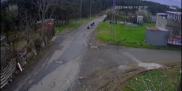 Olmaz olsun böyle evlat! Sultangazi'de akıllara durgunluk veren olay