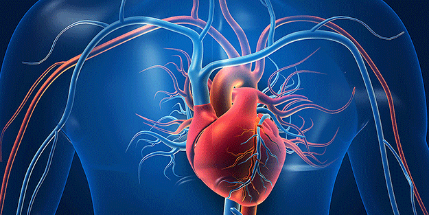 Olmazsa olmaz! İşte kalbi korumanın 6 yolu