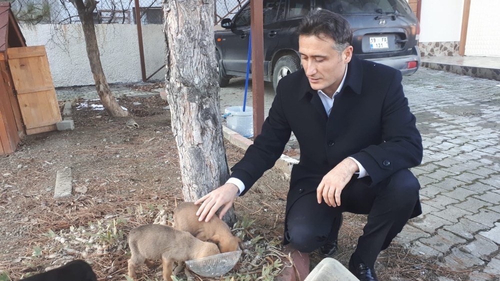 Ölmek üzere bulduğu köpekleri sahiplenen kaymakam gönülleri fethetti 
