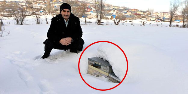Ölmemesi için hepsini karın altına gömdü!