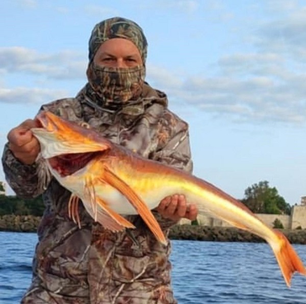 Olta ile tuttu! Tam 5 kilo ağırlığında