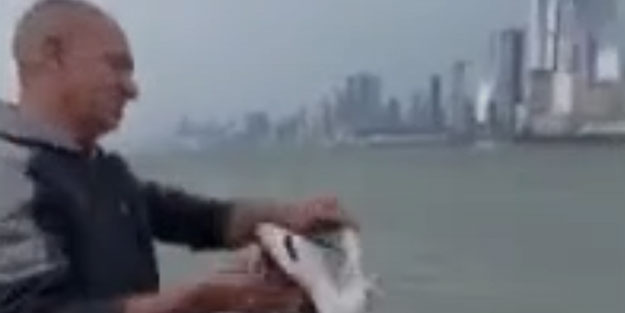 Oltaya köpekbalığı takıldı