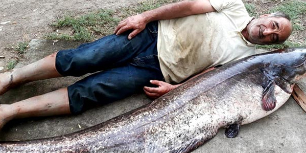 Oltaya takılan balığı görünce gözlerine inanamadı!