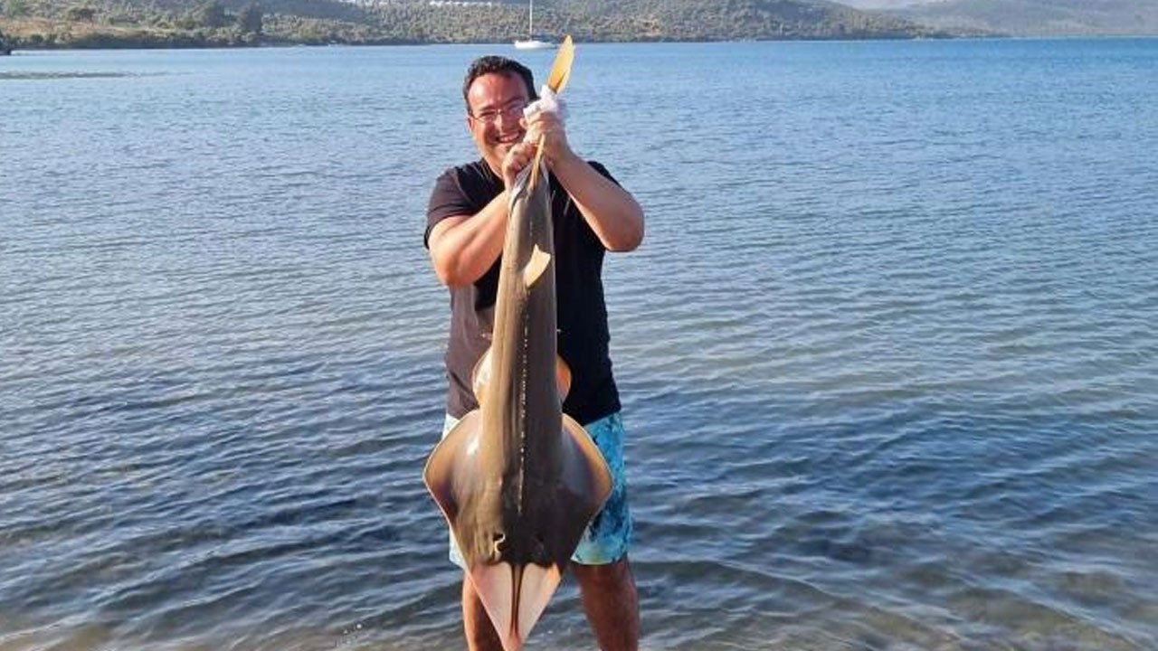 Oltaya takılan koruma altındaki balık denize bırakıldı