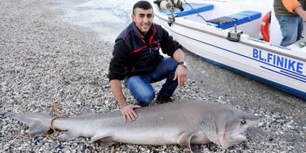 Oltayla 3 metrelik köpekbalığı yakaladı