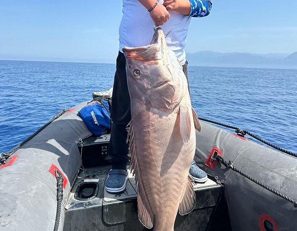 Oltayla yakalanan balık şaşırttı