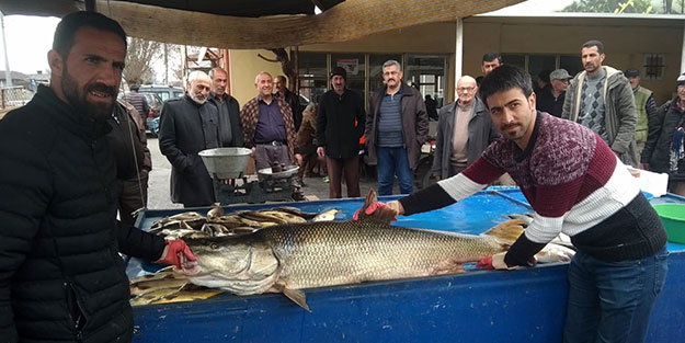Oltayla yakalandı! 82 kiloluk turna balığı ilçeyi şaşkına uğrattı
