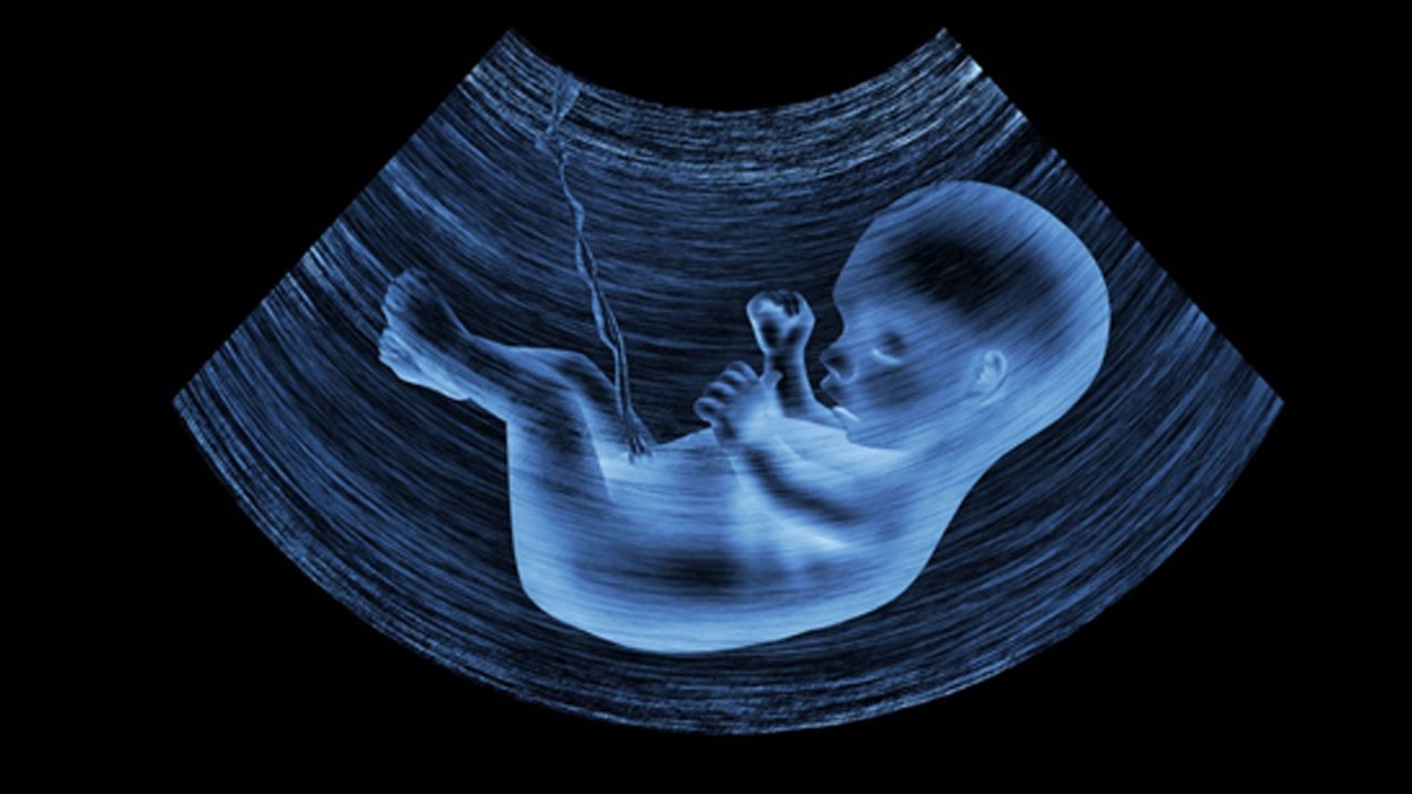 Ölü denilen bebeğe "sağlıklı" raporu verildi! Sonrası tam hüzün