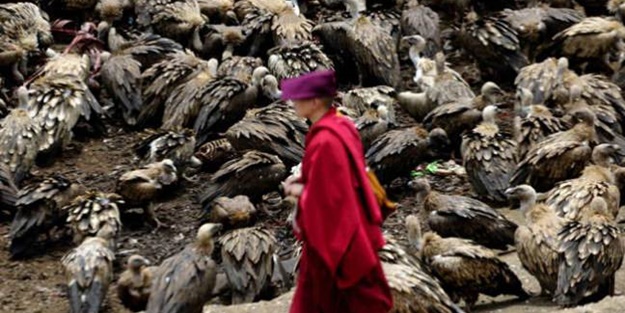 Ölülerine öyle bir şey yapıyorlar ki!