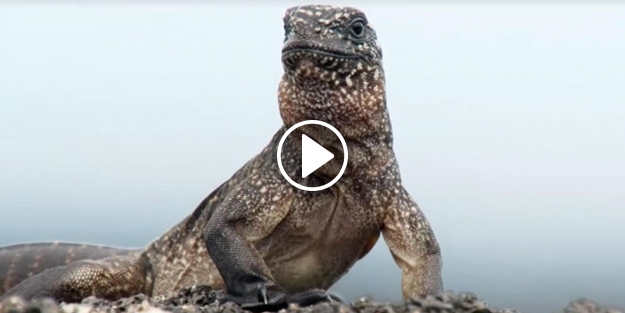 'Ölüm yolunu' böyle geçti