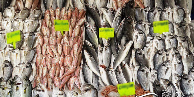 Ölümcül hastalık bulaştırıyorlar: Siz siz olun sakın bu balıkları yemeyin!