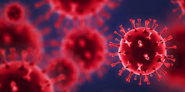 Ölümcül virüs geliştirdiler! Ebola yanında masum kalır