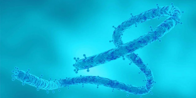 Ölümcül virüs uyarısı: Ziyaretlerinizi erteleyin