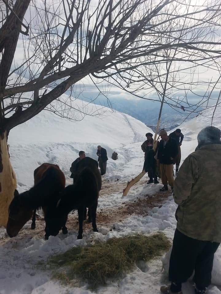 Ölüme terk edilen hayvanlara köylüler sahip çıktı 