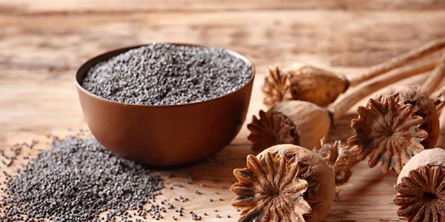 Omega-3'te somon balığını solluyor! Faydaları saymakla bitmiyor